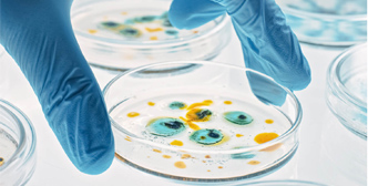 Application of Bioreactor Vergister in Microbiële Fermentatie